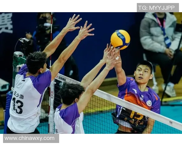 上海排球队力压群雄创排球力量新高引发热议