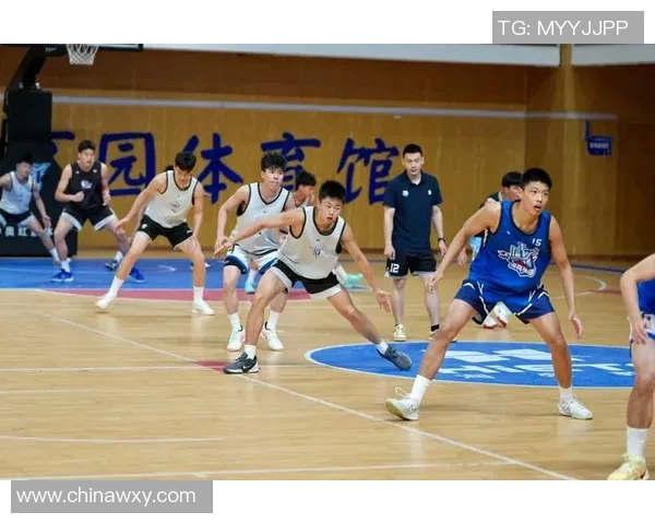 上海篮球队技术变革引发热议探索未来篮球发展新方向